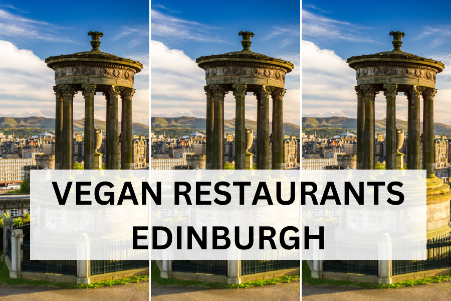 vegan restaurant edinburgh