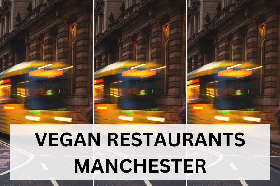 vegan restaurant manchester