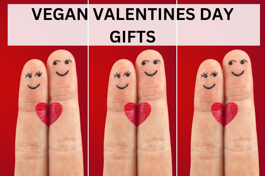 vegan valentines day gifts