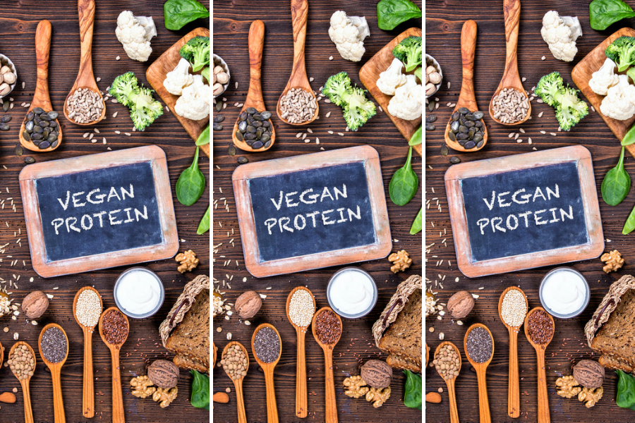The 21 Best High Protein Vegan Foods List Best Vegan Protein Sources Tonkmor 2178