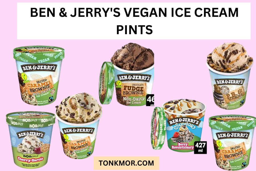 Ben & Jerry's vegan ice cream pint