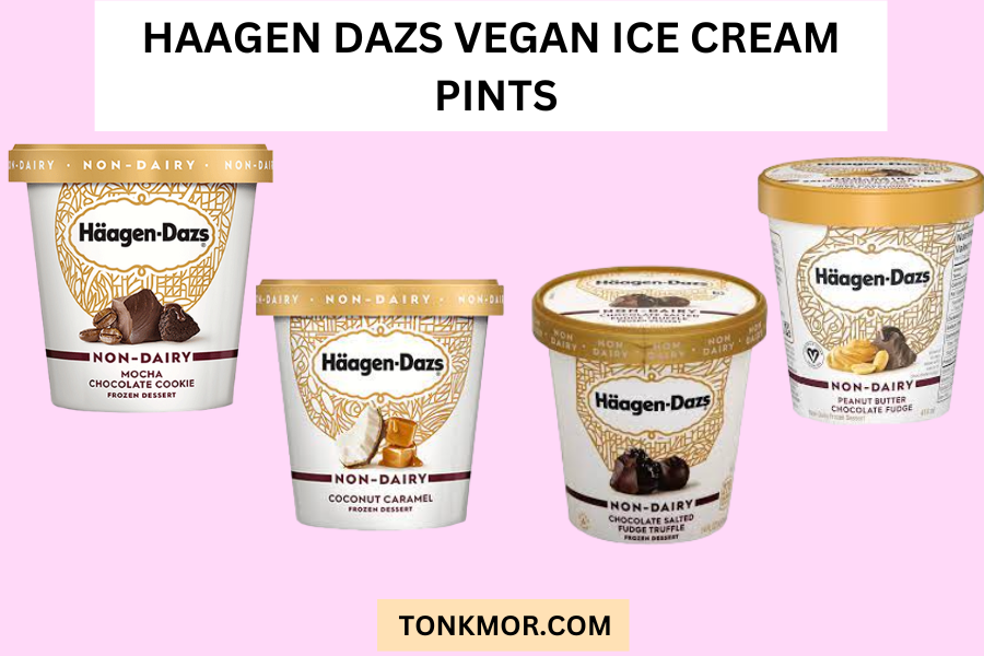 best vegan haagen dasz vegan ice cream pint