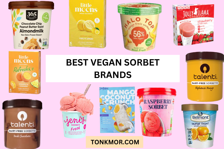 best vegan sorbet brands