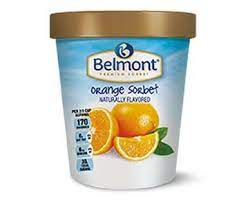 best vegan orange sorbet brand