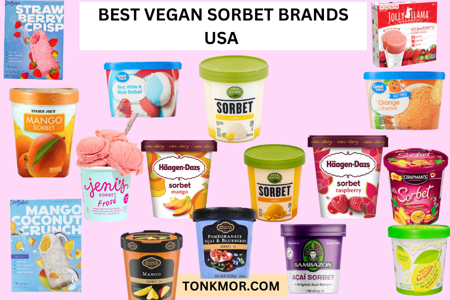 best vegan sorbet brand USA