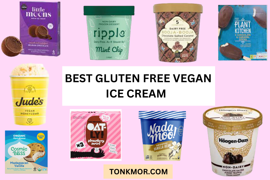 10 Best Vegan Ice Cream Usa Brands That You Need To Try Tonkmor