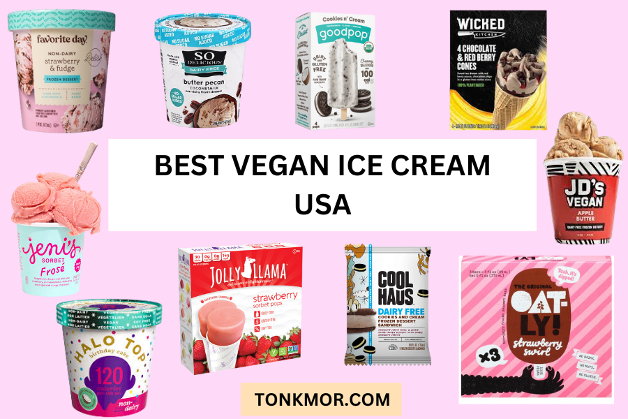 best vegan ice cream USA