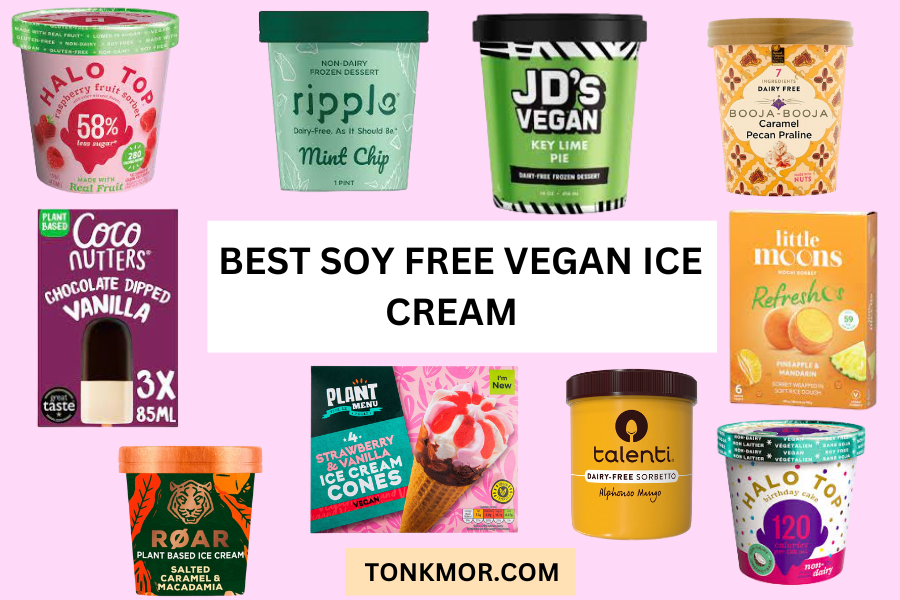 Best Soy Free Vegan Ice Cream