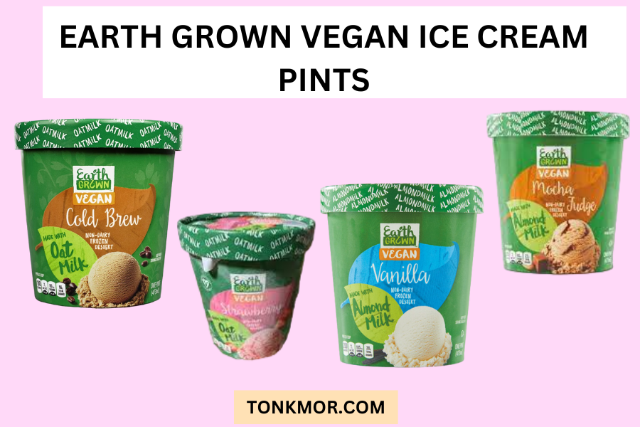 best vegan earth grown  ice cream pints